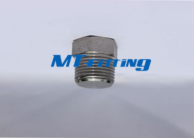 ASTM A182 F304 / 304L / 304H Hex Head Plug Forged High Pressure Pipe Fittings